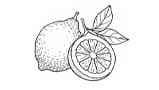 Bergamot