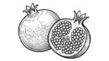 Pomegranate