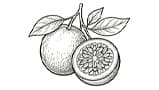 Passion Fruit