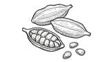 Cardamom