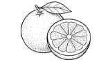Grapefruit
