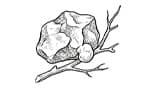 Labdanum