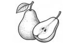 Pear