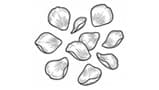 Rose Petals