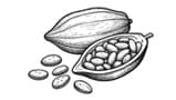 Cocoa Beans