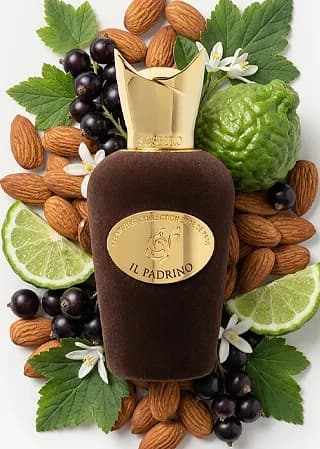 IL Padrino notes