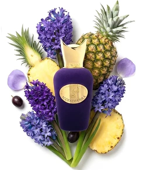Accento Viola