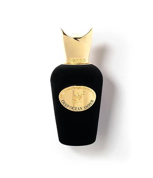 Deep Ocean Amber Notes