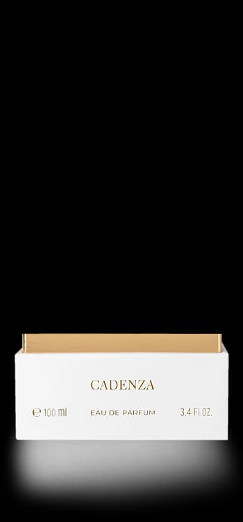 product case