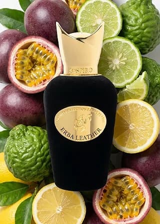 Erba Leather notes