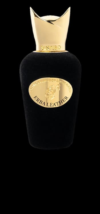 Erba Leather bottle