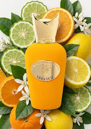 Erba Oud notes