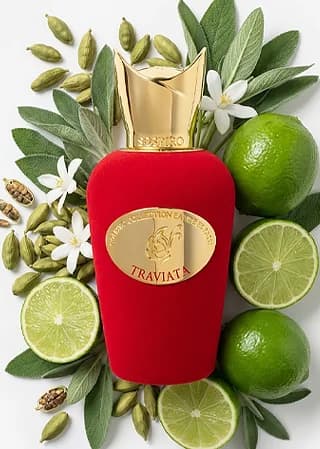 Traviata notes