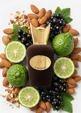 IL Padrino 15ML notes