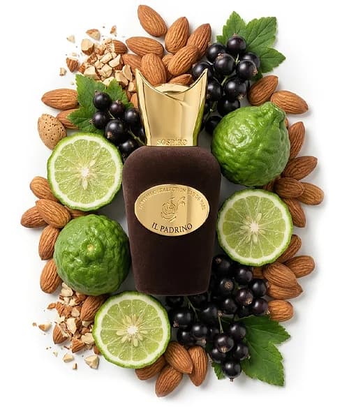 IL Padrino 15ML