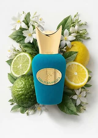 Erba Pura Magica 15ML notes