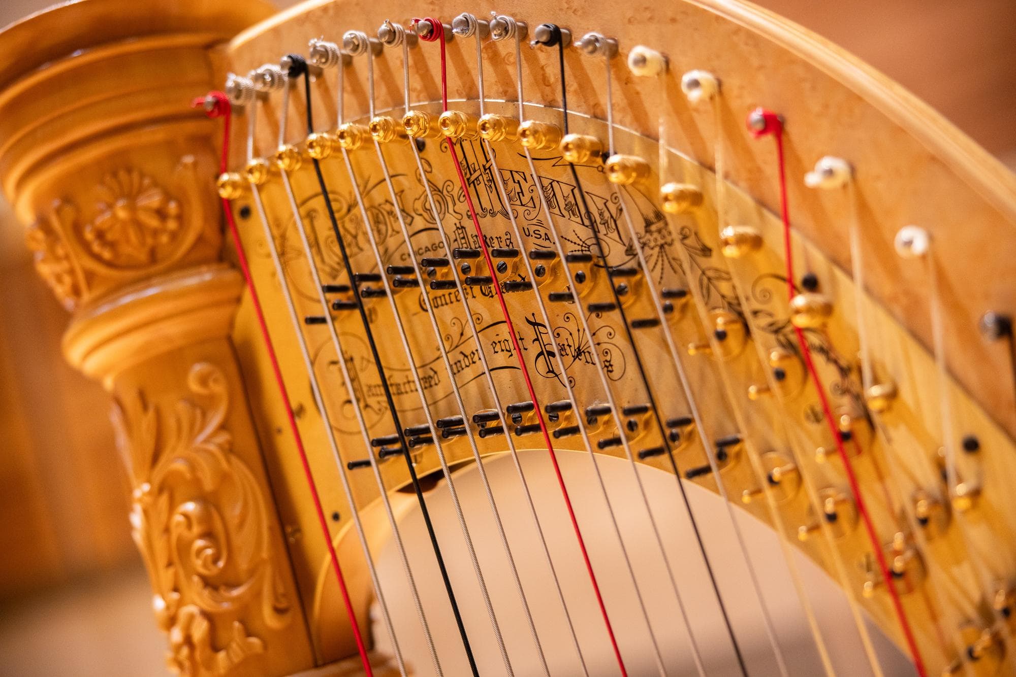 The Erba-banner